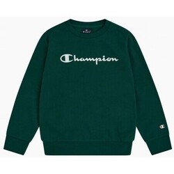 textil Pojkar Sweatshirts Champion  Grön
