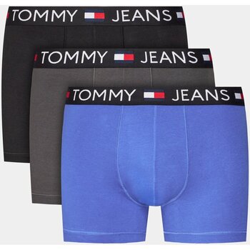 Underkläder Herr Boxershorts Tommy Jeans UM0UM03159 Flerfärgad