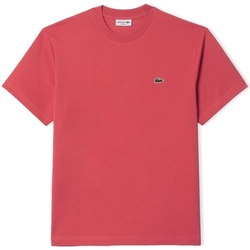 textil Herr T-shirts & Pikétröjor Lacoste Classic Fit T-Shirt - Rose ZV9 Rosa