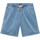 textil Herr Shorts / Bermudas Vans Range denim relaxedhort Blå