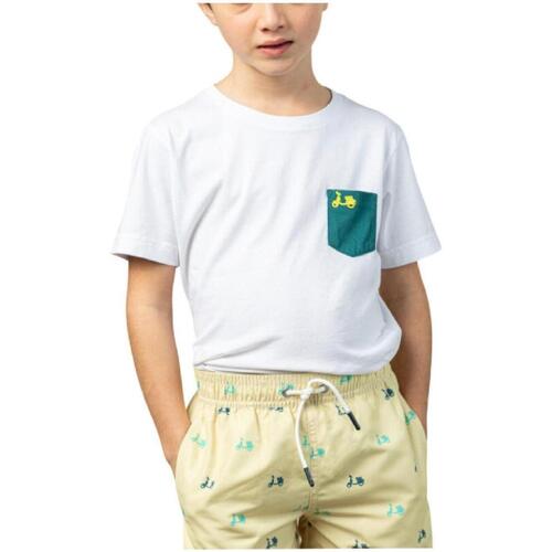 textil Pojkar T-shirts Scotta  Vit