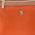 Väskor Dam Axelväskor U.S Polo Assn. BIUHU4920WIP-ORANGE Orange