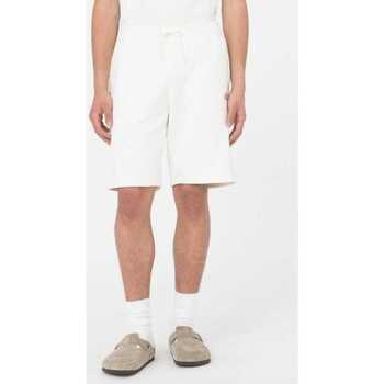 textil Herr Shorts / Bermudas Dickies Mapleton short Beige
