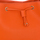 Väskor Dam Axelväskor U.S Polo Assn. BEUJE5698WVP-ORANGE Orange