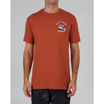 textil Herr T-shirts & Pikétröjor Salty Crew Hot rod shark premium s/s tee Orange