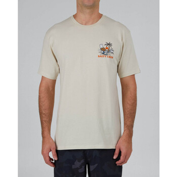 textil Herr T-shirts & Pikétröjor Salty Crew Siesta premium s/s tee Beige