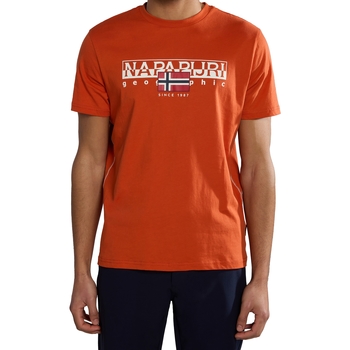 textil Herr T-shirts Napapijri 236334 Orange