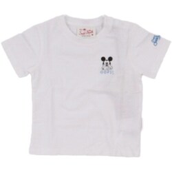 textil Pojkar T-shirts Mc2 Saint Barth POT0002 01252F Vit
