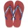 Skor Flip-flops Havaianas BRASIL LOGO Marin / Röd