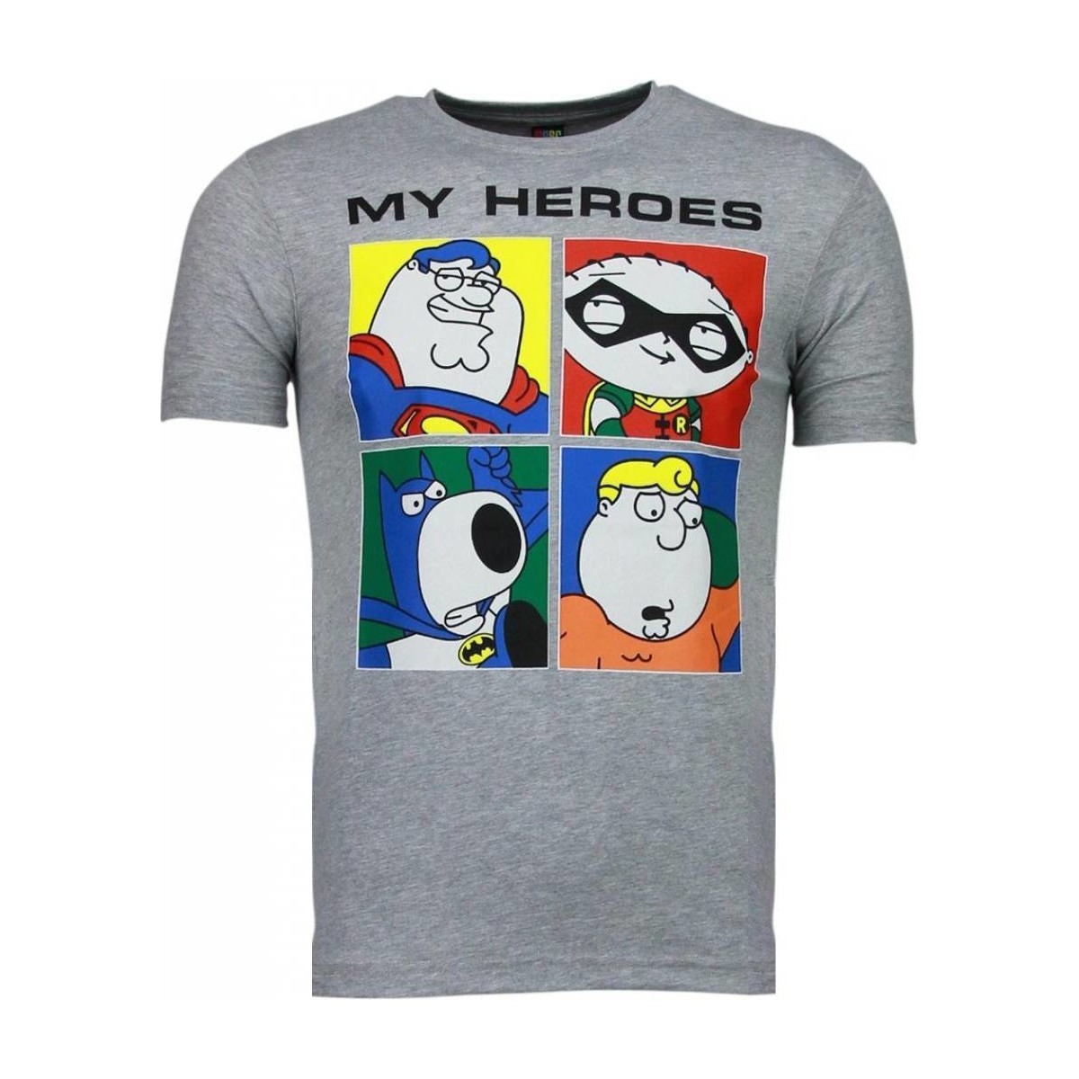 textil Herr T-shirts Local Fanatic Super Family My Heroes Grå