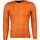 textil Herr Sweatshirts Tony Backer Tryck Tiger R Orange