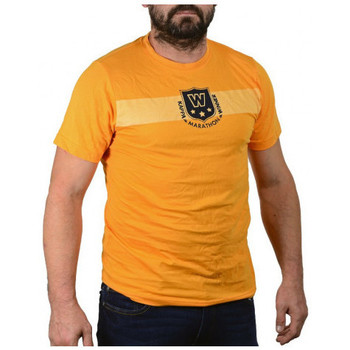 textil Herr T-shirts & Pikétröjor Kappa Tripack Maglie Orange